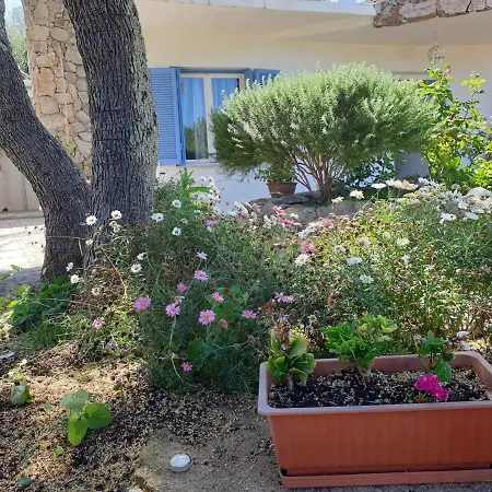 Casa vacanze Cugnana *